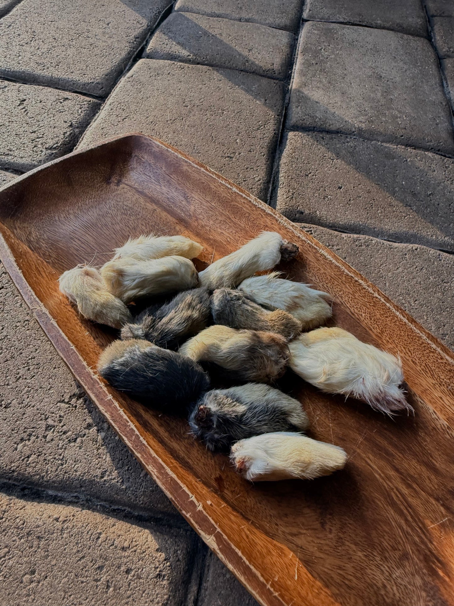 🐇Furry Rabbit Feet (S or L)