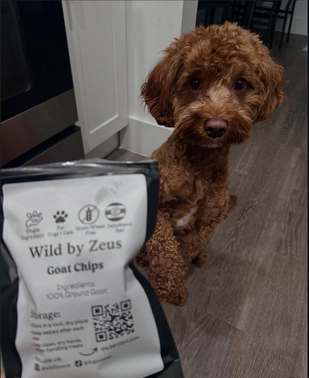 Wild by Zeus Treats
