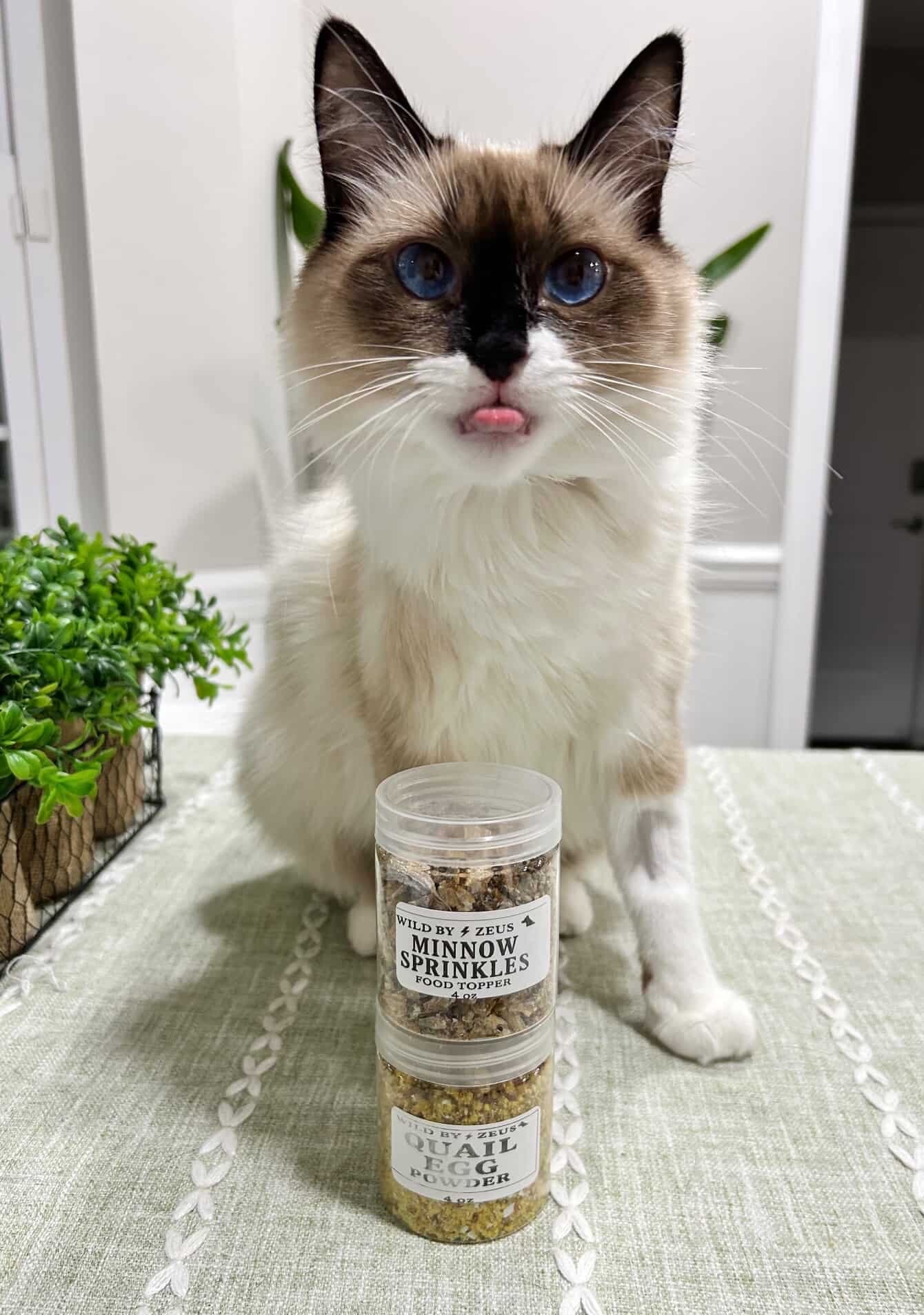 Wild by Zeus Feline Feast