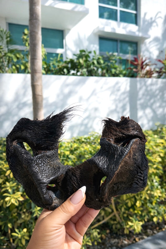 BISON SNOUT (FUR ON) 🦬