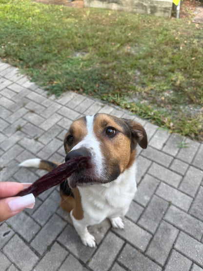 🦘 Wild Roo Crisps