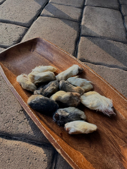 🐇Furry Rabbit Feet (S or L)