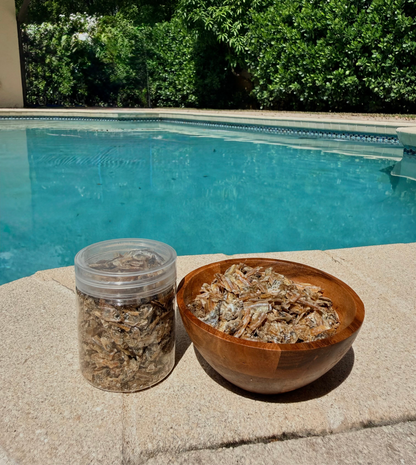 🐟 Minnow Sprinkles