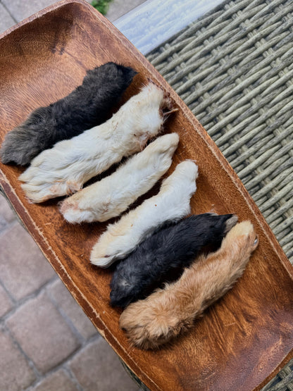 🐇Furry Rabbit Feet (S or L)