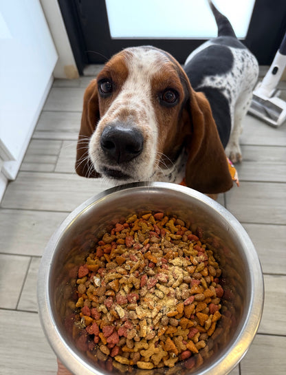 🦪 Green Lipped Mussel Powder