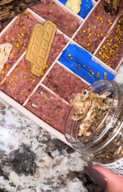 🐟 Minnow Sprinkles