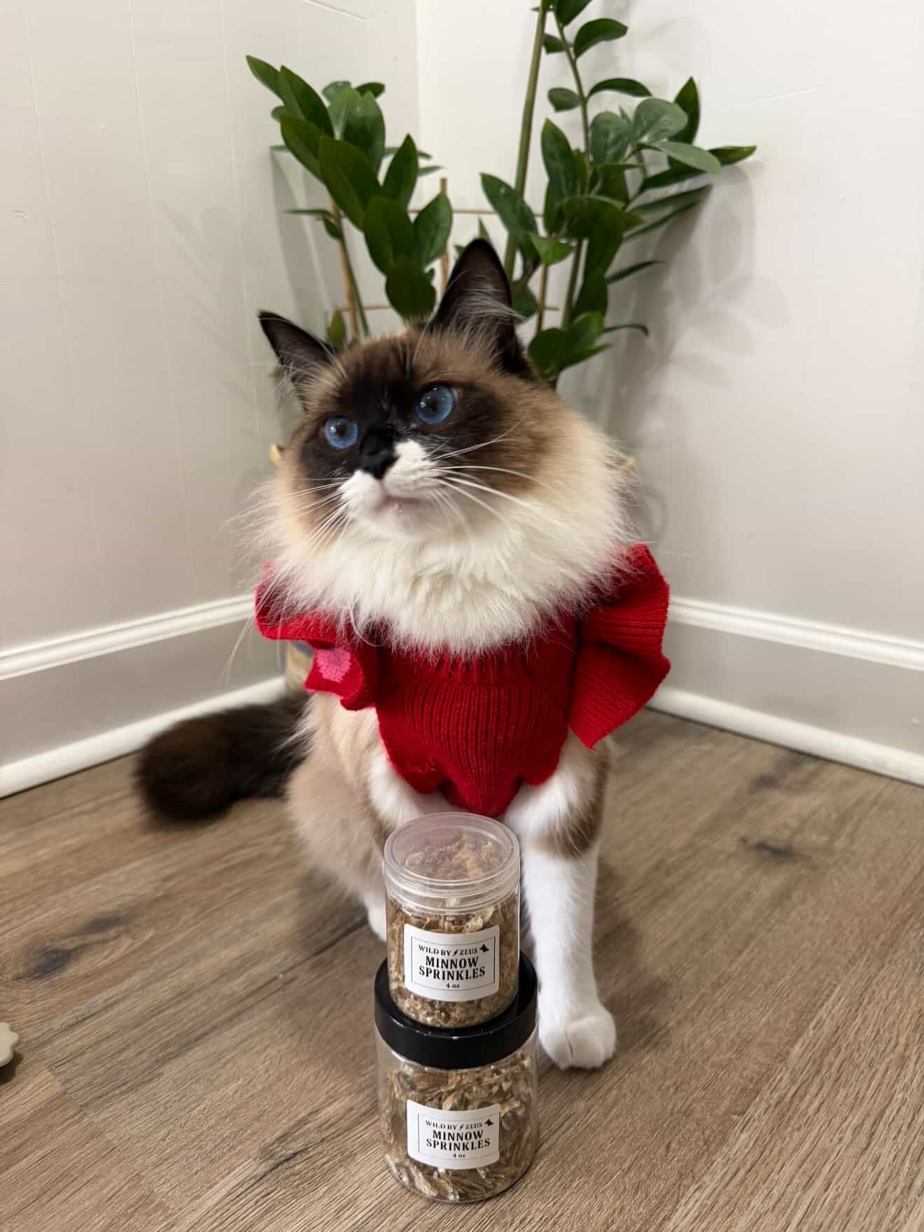 🐟 Minnow Sprinkles